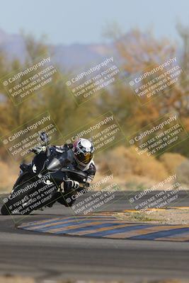 media/Feb-04-2023-SoCal Trackdays (Sat) [[8a776bf2c3]]/Turn 2 (1140am)/